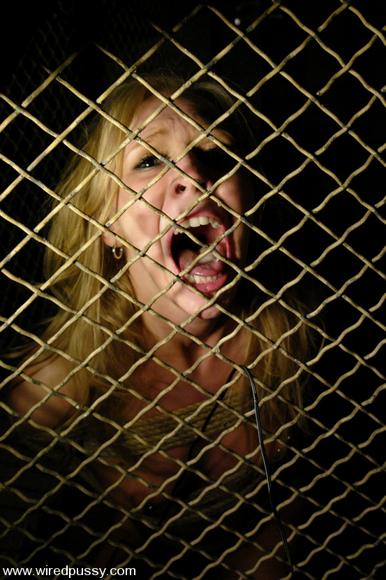 COLLECTION: The new series