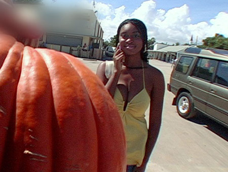 A taste of Jade's Pumpkin Tits