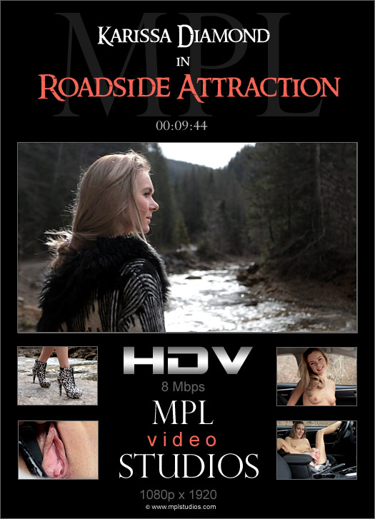 Roadside Attraction