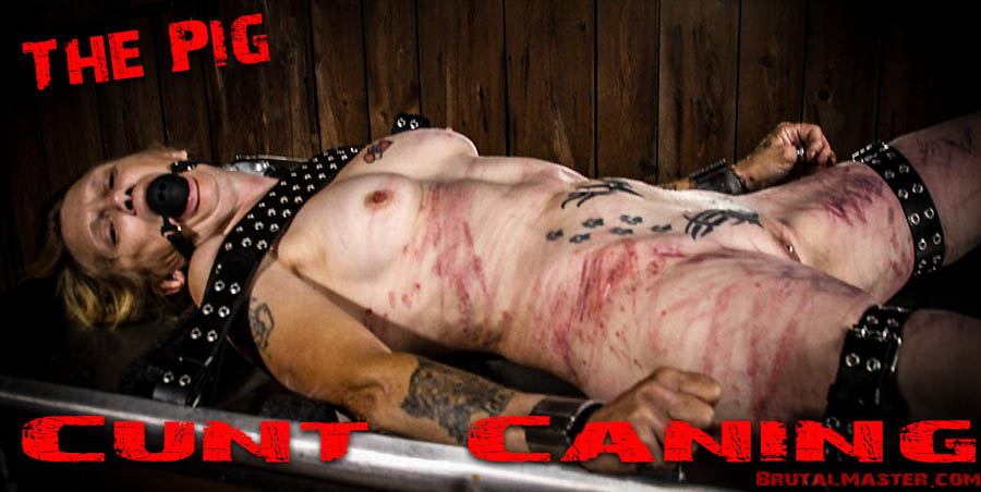 The Pig - Cunt Caning