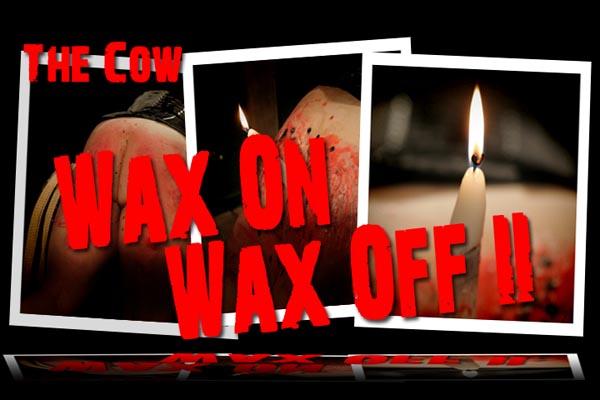 Cow - Was On Wax Off II