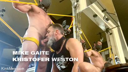 Milking Mike Gaite
