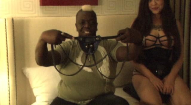 Strap on Play: Choosing a Harness - Part 1
