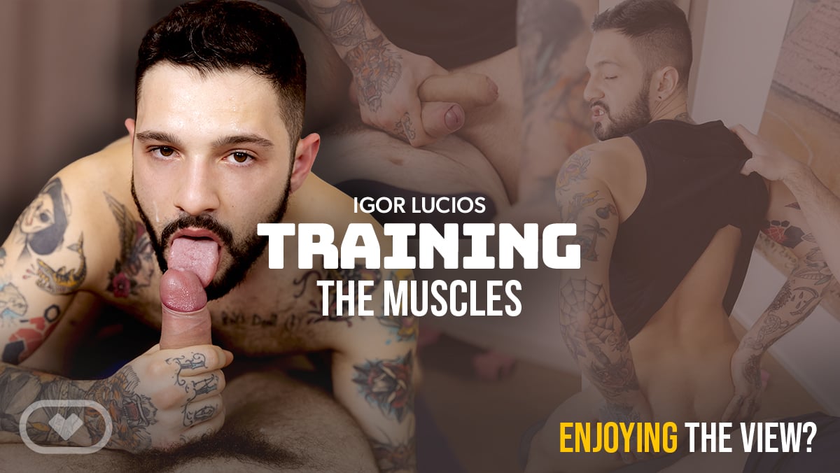 Training The Muscles