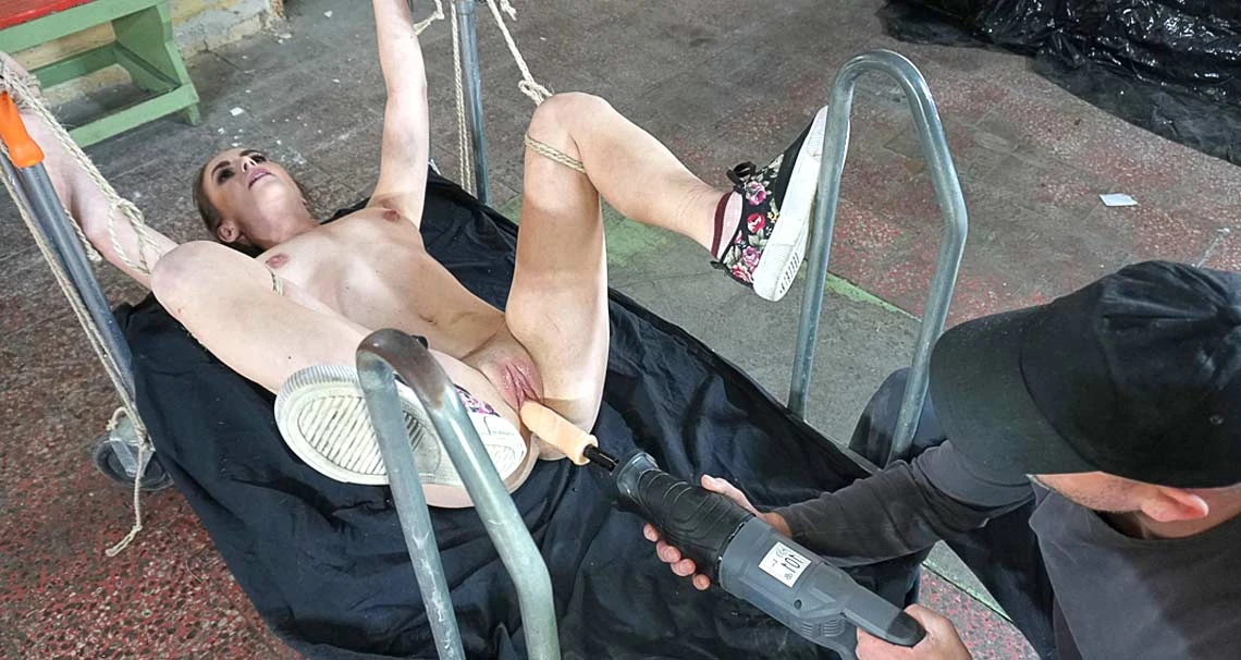 Dominated with Sex Toys