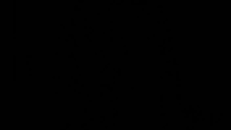 Luscious legs to long for!