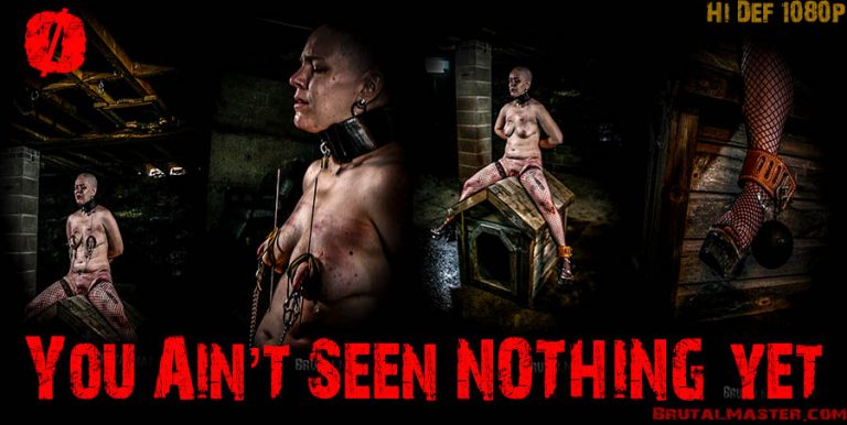 NEW MEAT Nothing - You Aint Seen Nothing Yet
