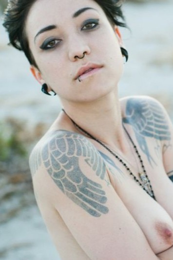 Photo HD Ursinae Vespéral - 5