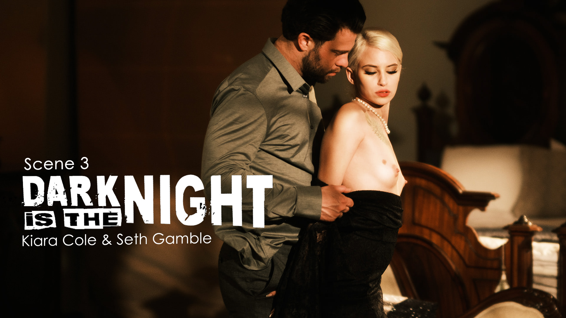 Dark Is The Night: Scene 3