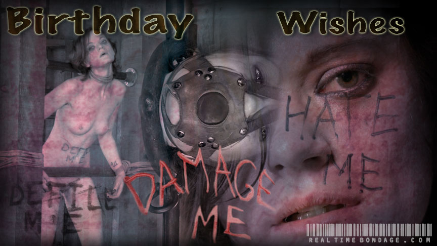 Birthday Wishes: Damage Me