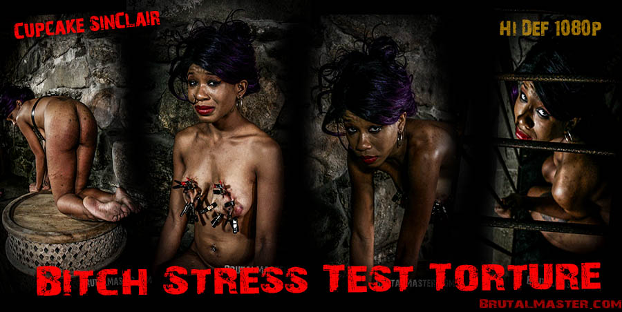 Cupcake SinClair - Stress Test