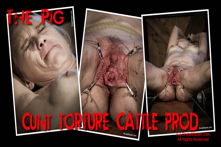 The Pig - Cunt Torture Cattle Prod