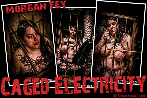 Morgan Fey - Caged Electricity