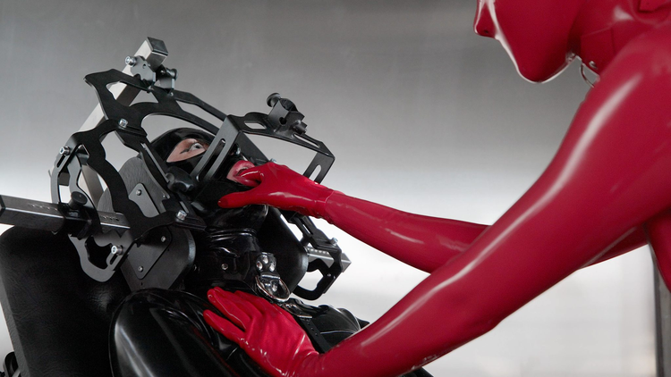 Clinical Trial (Phase One)