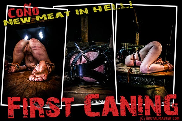 NEW MEAT - Cono First Caning