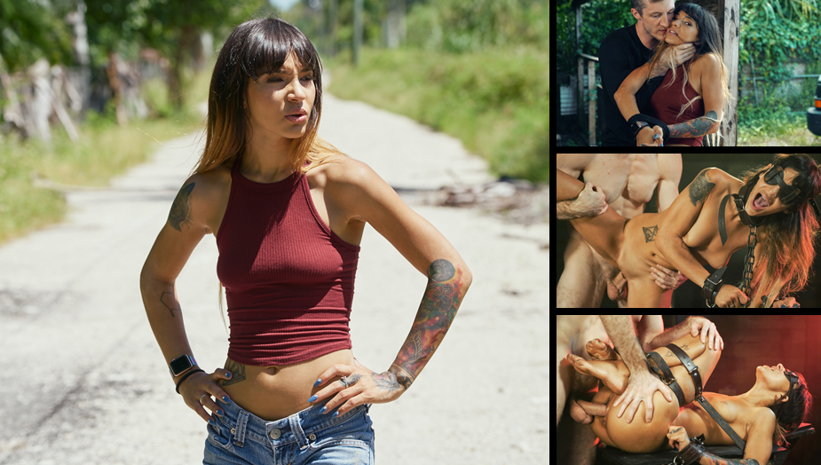 Ditched, Dicked and Dominated