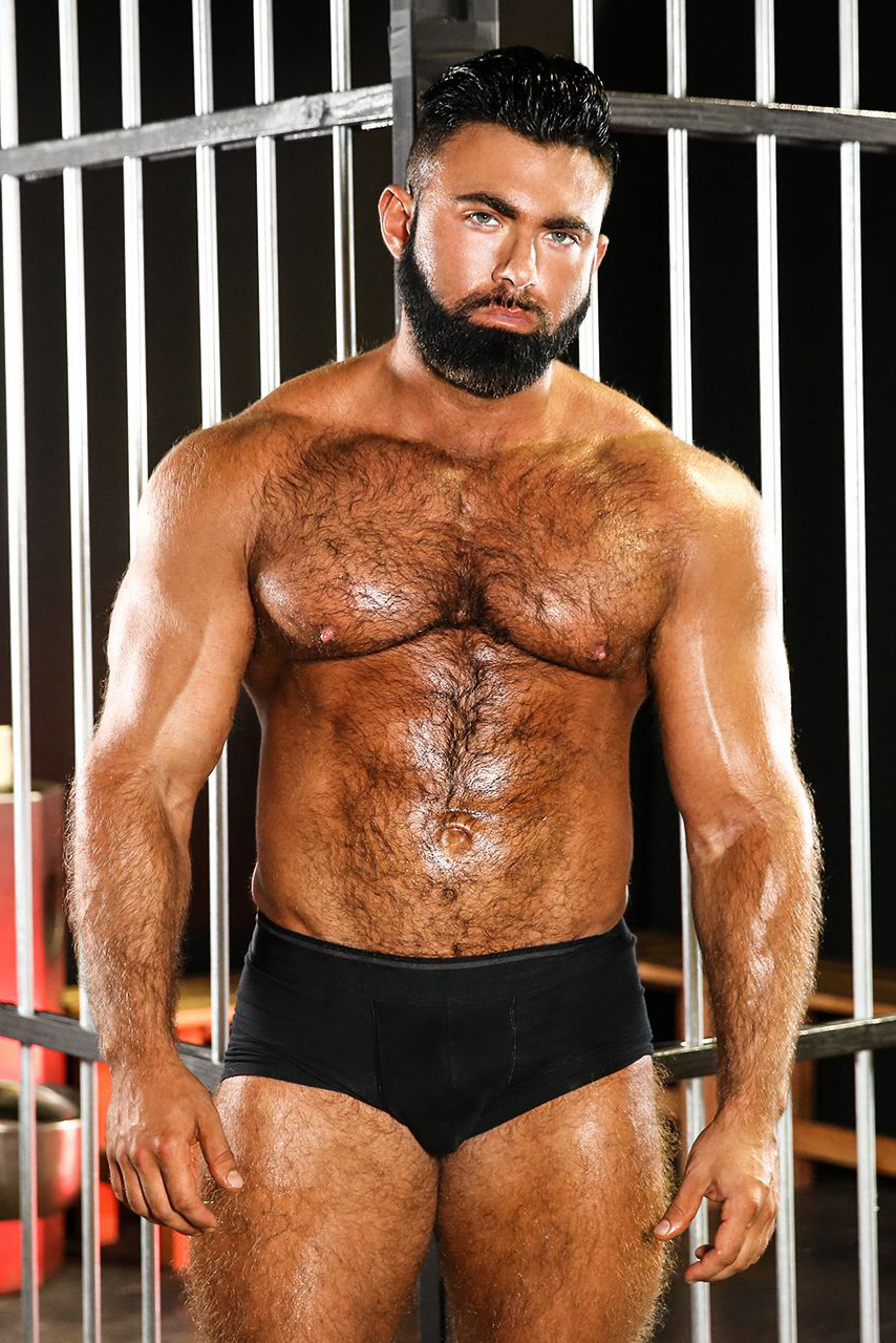 Photo HD Steven Roman - 4