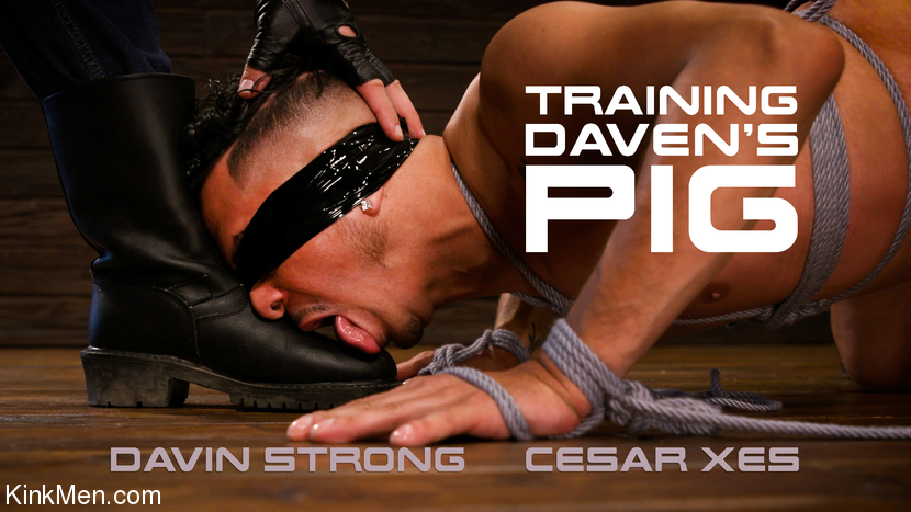 Training Davin's Pig - Raw