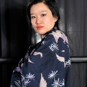 Digital Devil Fessée