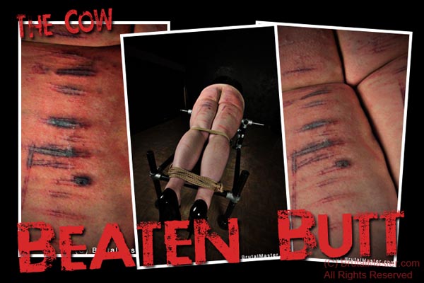 Slave Cow - Beaten Butt