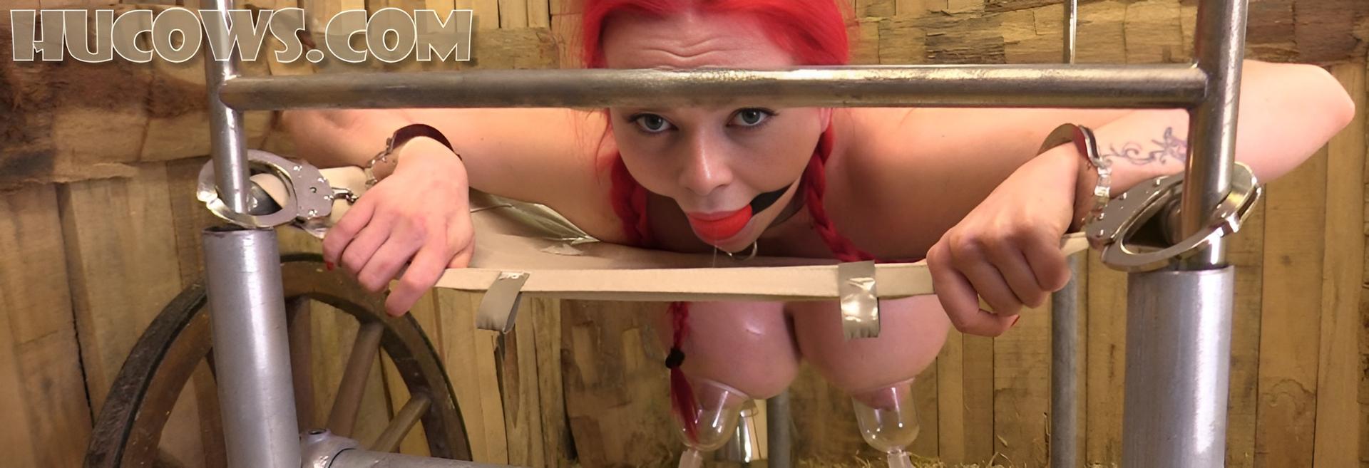 Jasmine James – back in the barn