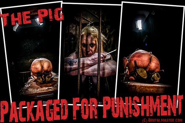 The Pig - Packaged For Punishment