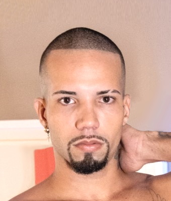 Photo HD Pytter Fox - 3