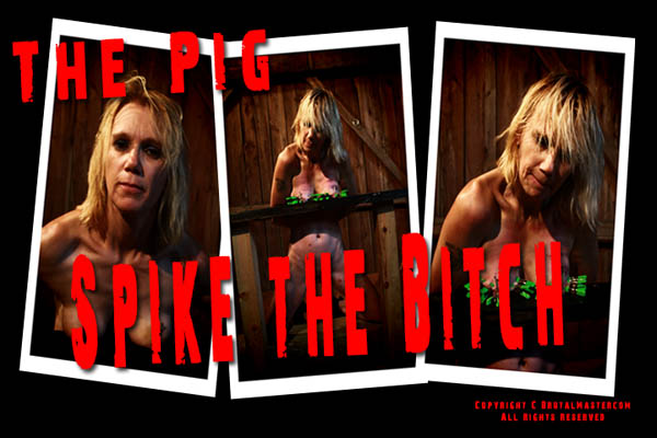 The Pig - Spike The Bitch