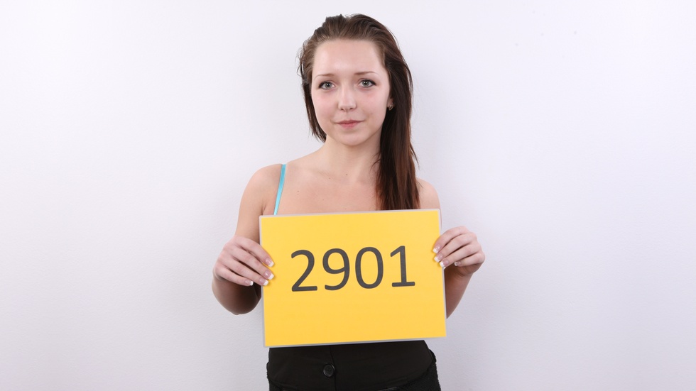 Lenka (2901)
