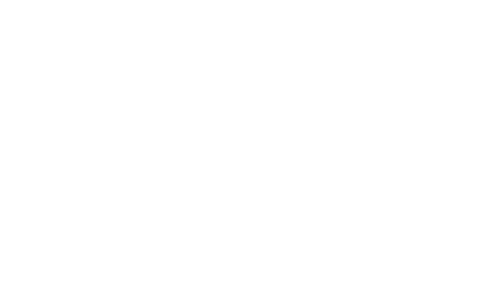 Shadow Dimitri