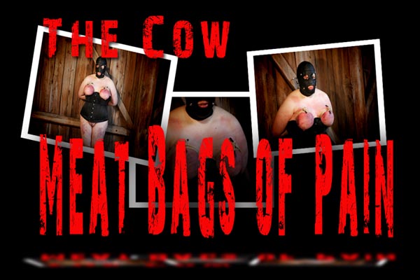 The Cow - Meat Bags of Pain 1