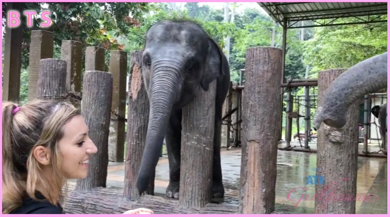 All of Moka Mora's Bts.