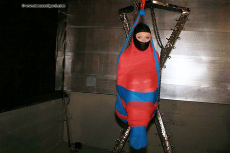 Madison Mummified and Suspended - Installation