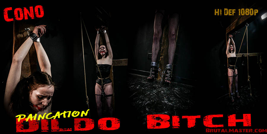 Cono - Paincation Dildo Bitch