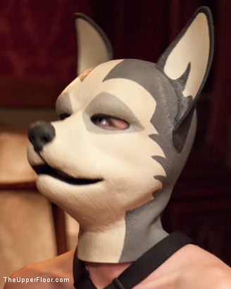 Photo HD Minx Grrl - 3