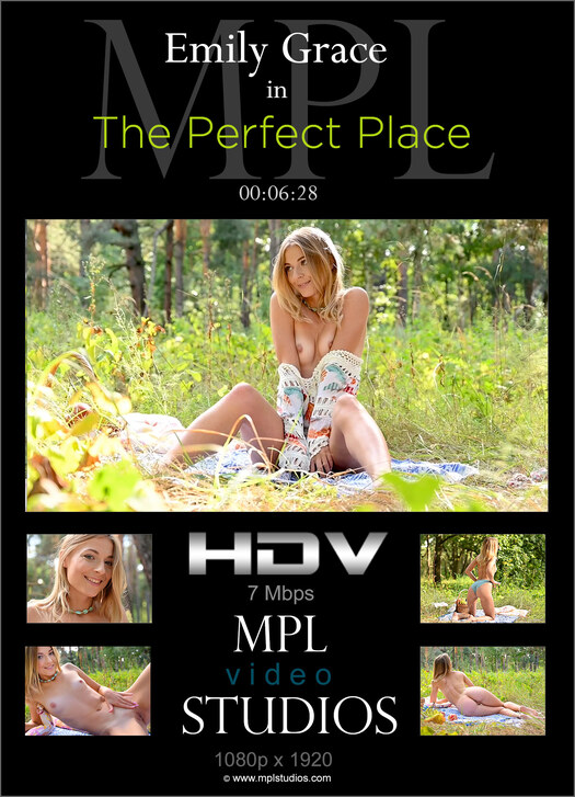 The Perfect Place
