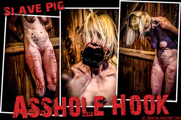 Slave Pig - Asshole  Hook