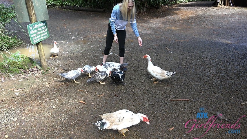 You Loved Following Lily Around on the Road to Hana