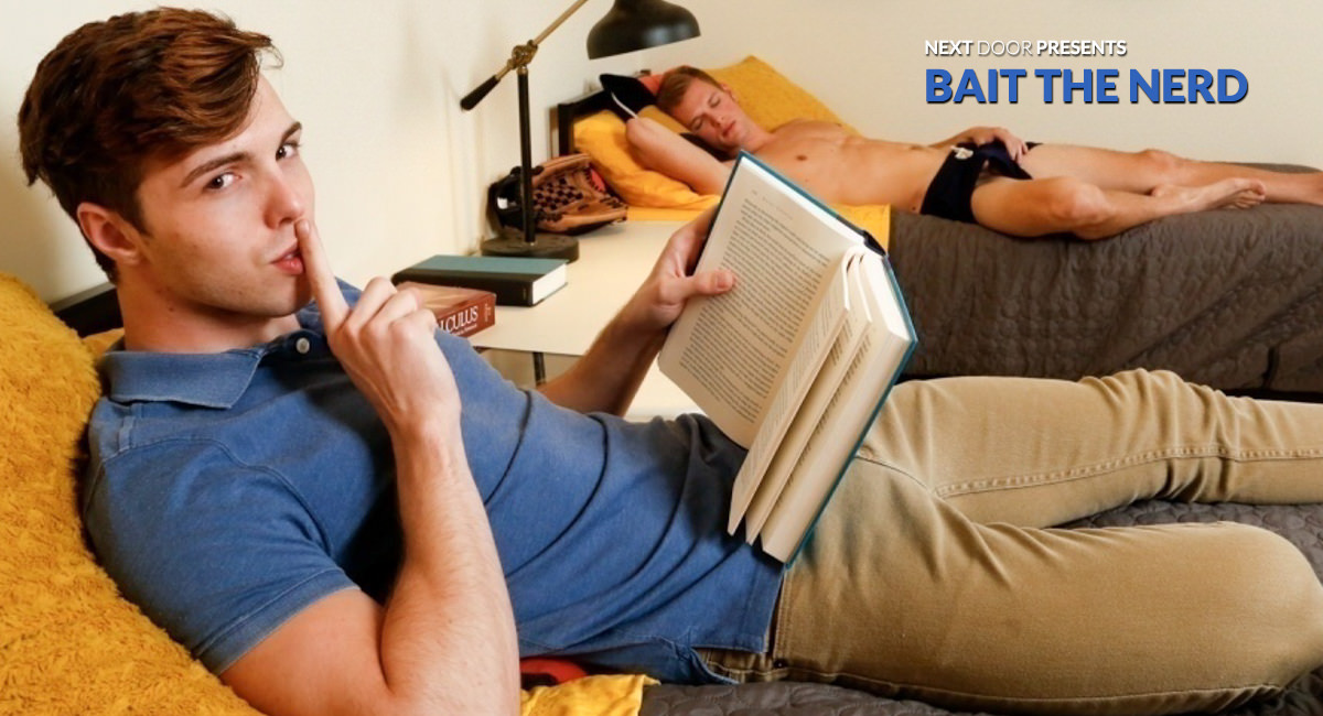 Bait The Nerd