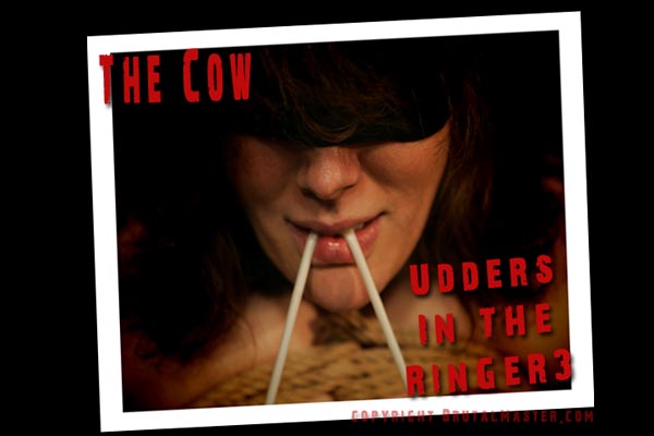 The Cow - Udders Torture 3