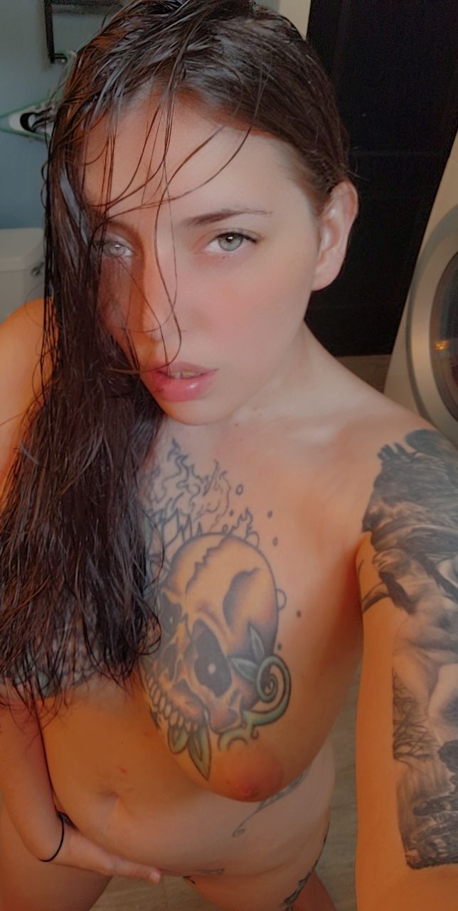 Photo HD Hayle Woods - 1