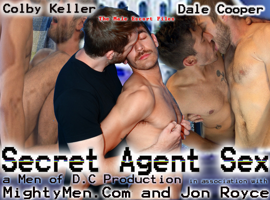 Secret Agent Sex