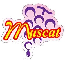 Muscat