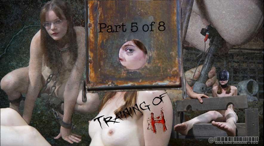 Training of H Part 5