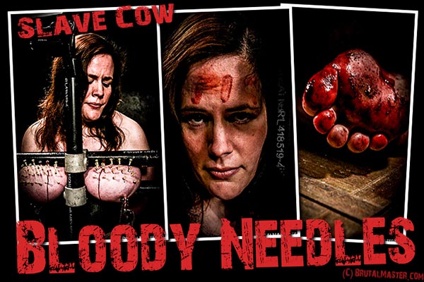 Slave Cow - Bloody Needles