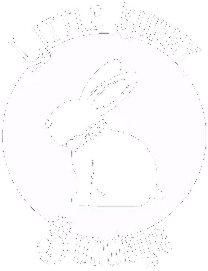 LittleBunnyB