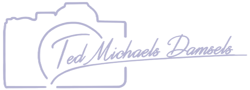 Ted Michaels Damsels