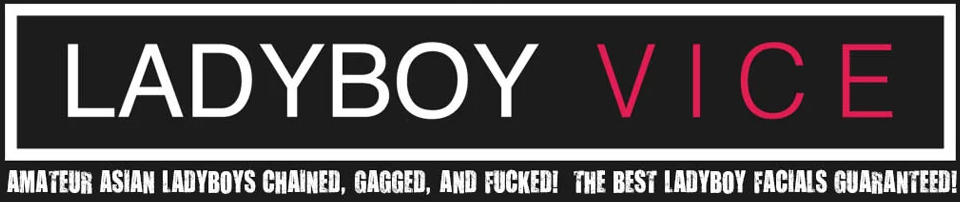 Ladyboy Vice