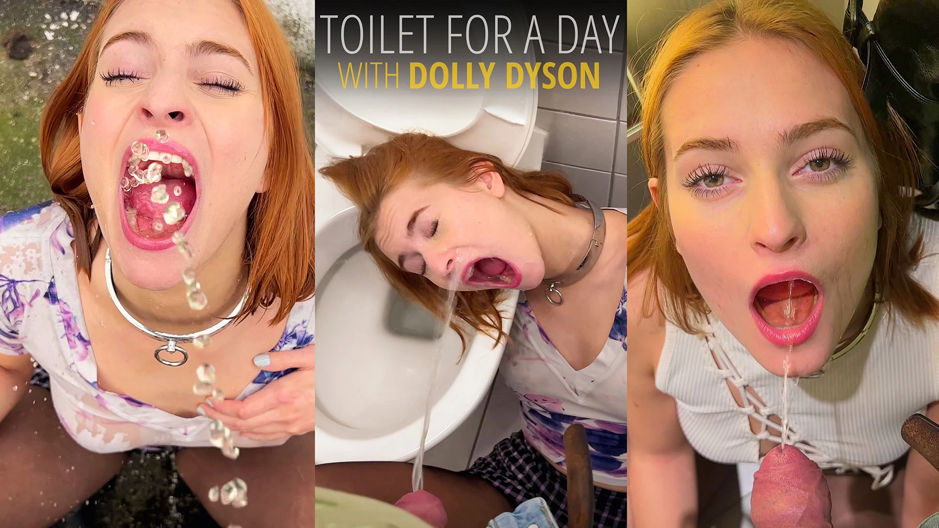 Toilet for a Day with Dolly Dyson
