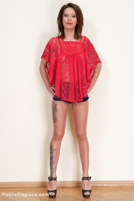 Sandy Ink Domination